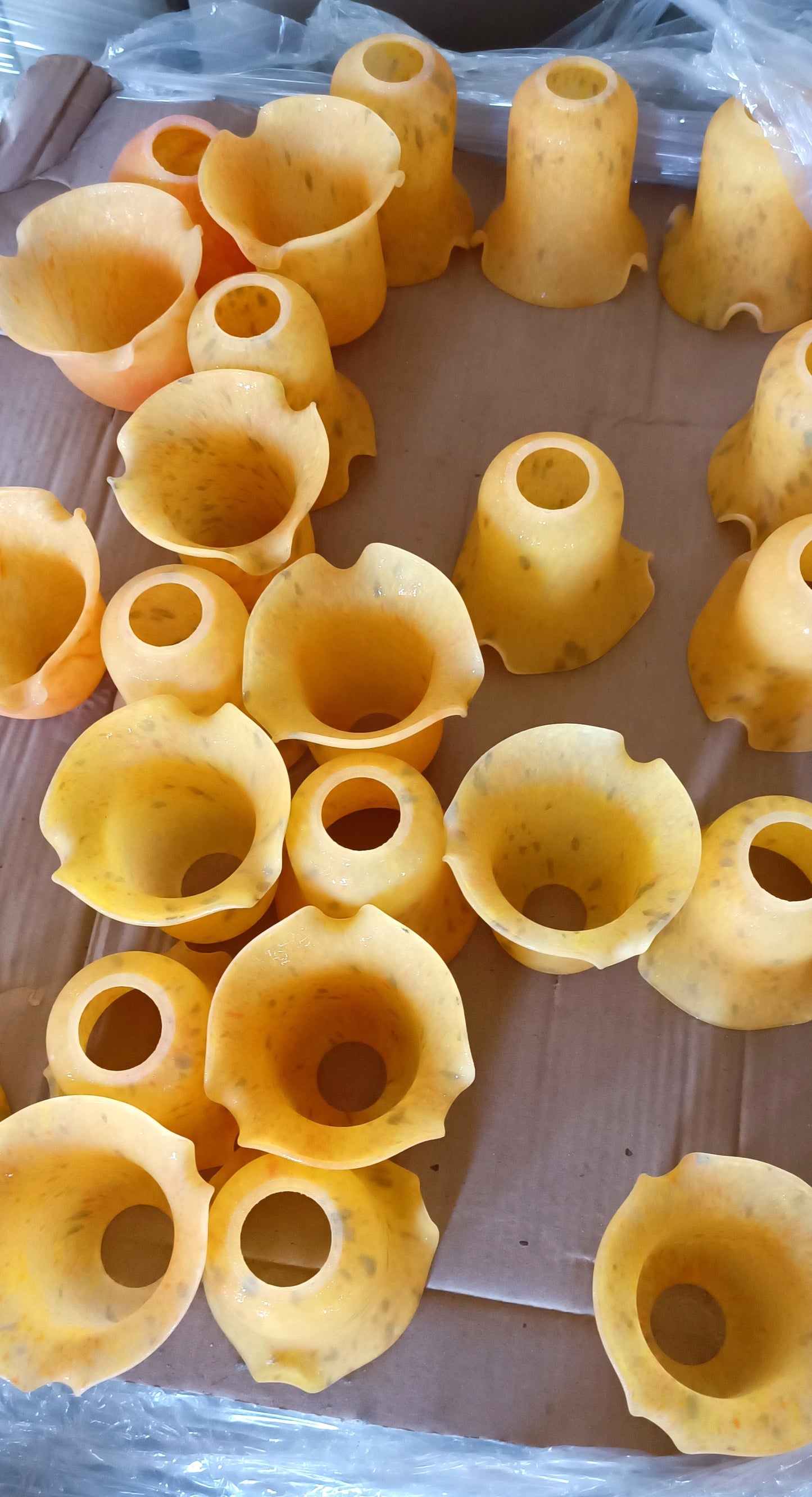 Tulipa Laranja com grão verde e aba curta