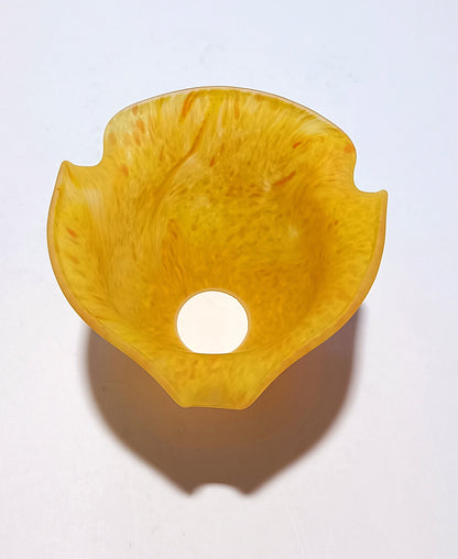 Tulipa Laranja média com grão verde e aba curta