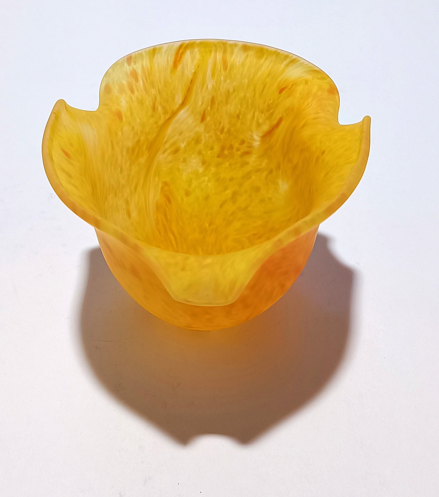 Tulipa Laranja média com grão verde e aba curta
