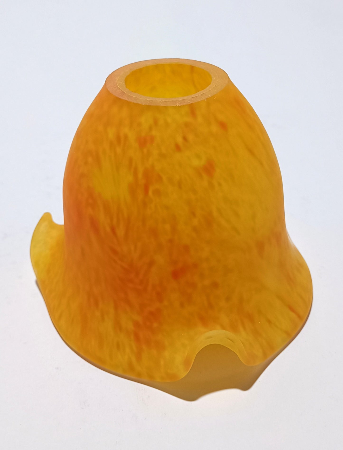 Tulipa Laranja média com grão verde e aba curta