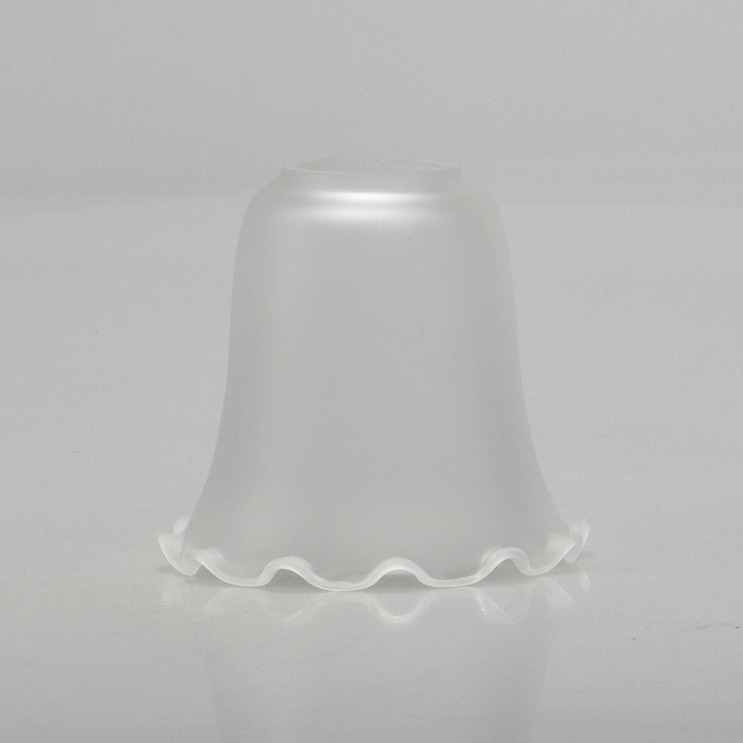 Tulipa fosco rendilhada