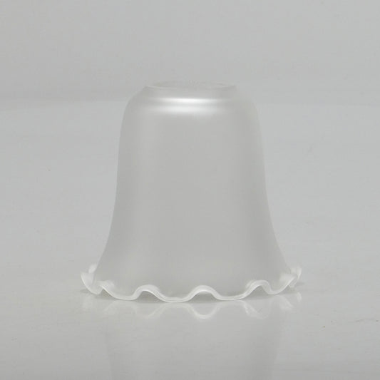 Tulipa fosco rendilhada