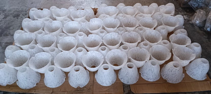 Tulipas Brancas em vidro soprado